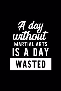 A Day Without Martial Arts Is A Day Wasted