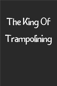 The King Of Trampolining