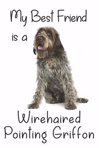 My best Friend is a Wirehaired Pointing Griffon