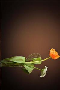 Orange Tulip and white Leek Flowers in a Vase Journal