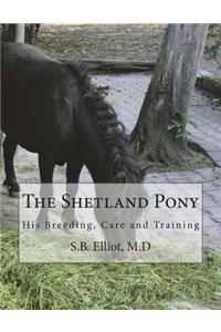 The Shetland Pony