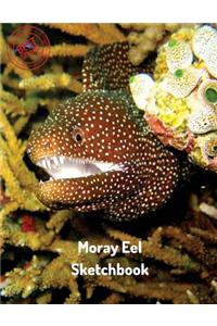 Moray Eel Sketchbook