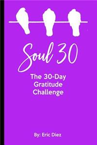 Soul 30