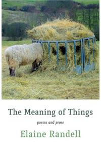 The Meaning of Things