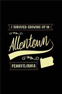 I Survived Growing Up In Allentown Pennsylvania
