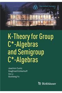 K-Theory for Group C*-Algebras and Semigroup C*-Algebras