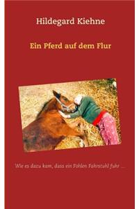 Pferd auf dem Flur