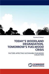 Today's Woodland Degradation, Tomorrow's Fuelwood Crisis