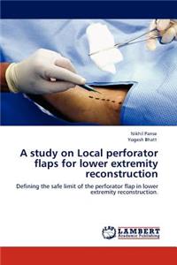 Study on Local Perforator Flaps for Lower Extremity Reconstruction
