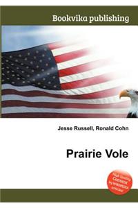 Prairie Vole