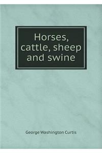 Horses, cattle, sheep and swine