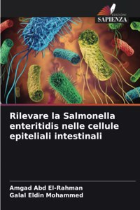 Rilevare la Salmonella enteritidis nelle cellule epiteliali intestinali