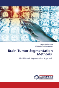 Brain Tumor Segmentation Methods