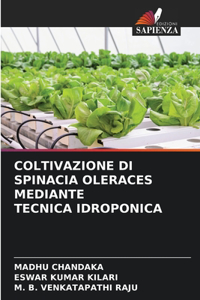 Coltivazione Di Spinacia Oleraces Mediante Tecnica Idroponica