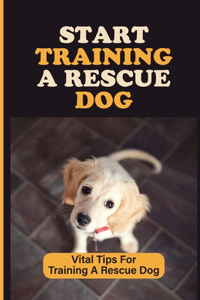 Start Training A Rescue Dog