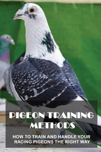 Pigeon Training Methods