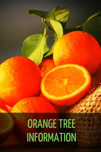 Orange Tree Information