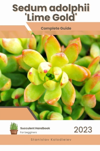 Sedum adolphii 'Lime Gold'
