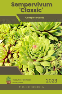 Sempervivum 'Classic'