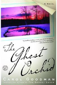 The Ghost Orchid