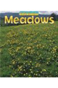 Wild Britain: Meadows and Grasslands Paperback