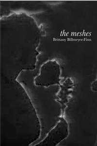 Meshes