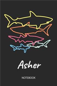 Asher - Notebook