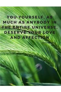 You yourself, as much as anybody in the entire universe, deserve your love and affection