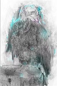 Cool Sketch of a Bald Eagle Journal