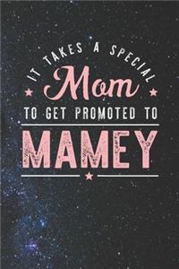 It Takes A Special Mom To Get Promoted To Mamey