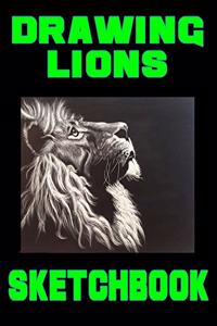 Drawing Lions Sketchbook