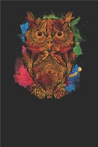 Owl Colorful