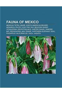 Fauna of Mexico