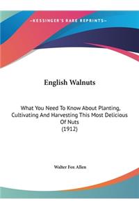English Walnuts