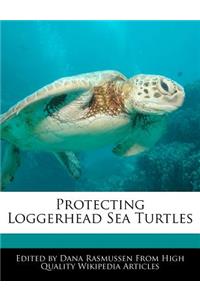 Protecting Loggerhead Sea Turtles