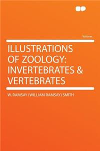 Illustrations of Zoology: Invertebrates & Vertebrates