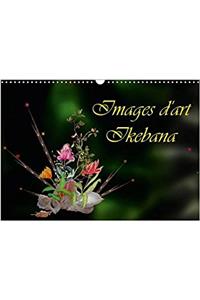 Images D'art Ikebana 2017