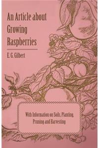 Article about Growing Raspberries with Information on Soils, Planting, Pruning and Harvesting
