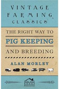 Right Way to Pig Keeping and Breeding