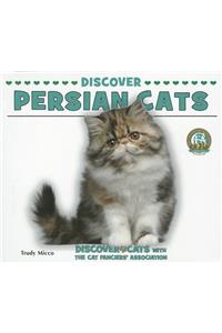 Discover Persian Cats