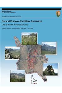 Natural Resource Condition Assessment