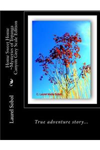 Home Sweet Home Mysteries of Topanga Canyon Grey Scale Edition