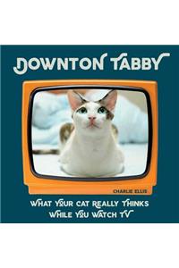 Downton Tabby