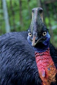Portrait of a Cassowary Journal