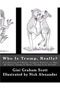 Who Is Trump, Really?