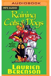 Raining Cats & Dogs