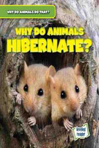 Why Do Animals Hibernate?