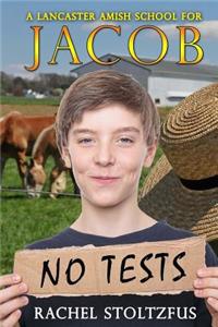 A Lancaster Amish School for Jacob