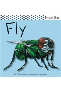 Fly