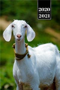 Goat Farmer Farming Herder Goatherd Week Planner Weekly Organizer Calendar 2020 / 2021 - Floppy Ears